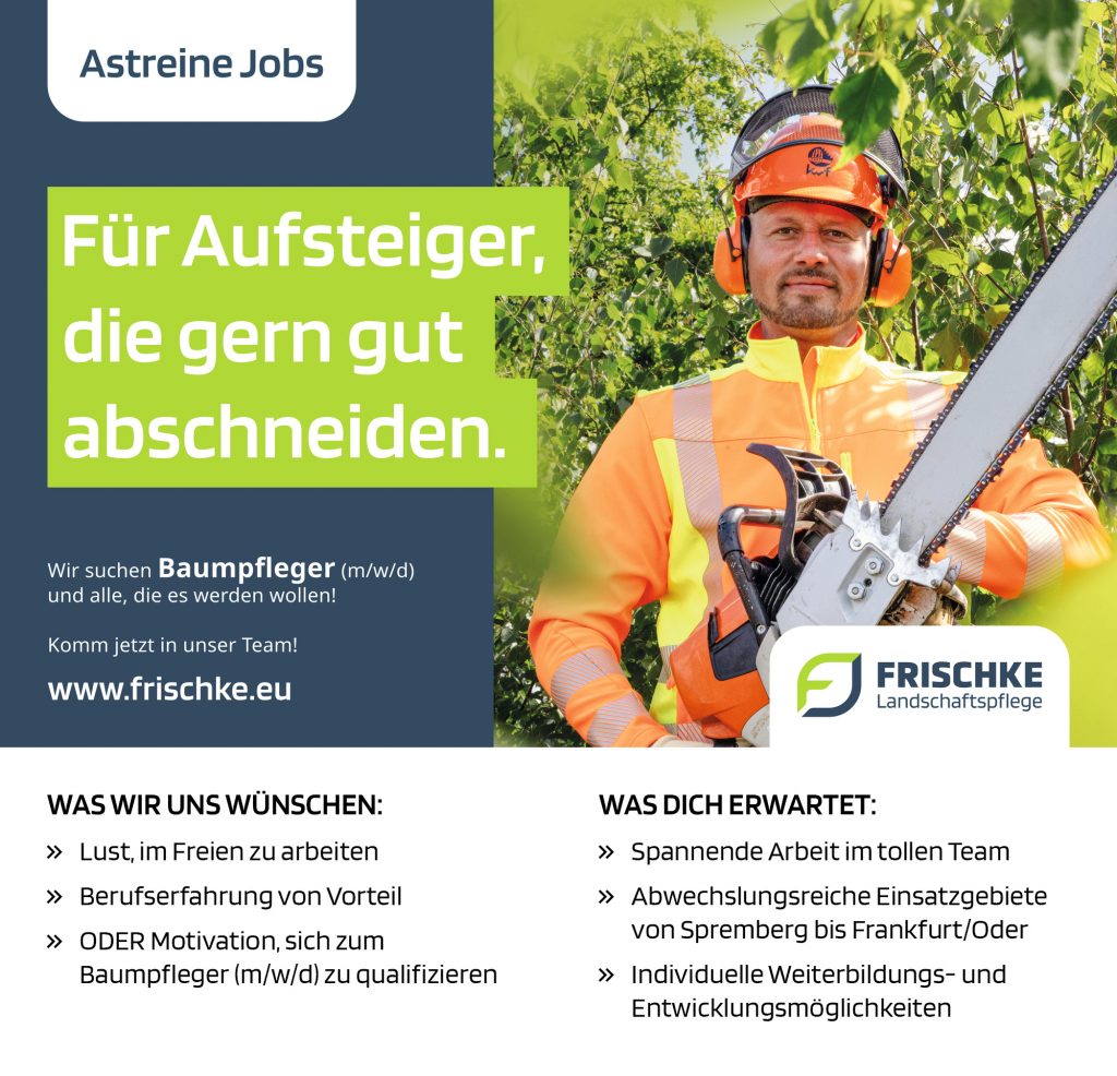 Astreine Jobs
Für Aufsteiger, die gern gut abschneiden.
Wir suchen Baumpfleger (m/w/d) und alle, die es werden wollen!
Komm jetzt in unser Team - www.frischke.eu
WAS WIR UNS WÜNSCHEN:
Lust, im Freien zu arbeiten
Berufserfahrung von Vorteil
ODER Motivation, sich zum Baumpfleger (m/w/d) zu qualifizieren
WAS DICH ERWARTET:
Spannende Arbeit im tollen Team
Abwechslungsreiche Einsatzgebiete von Spremberg bis Frankfurt/Oder
Individuelle Weiterbildungs- und Entwicklungsmöglichkeiten